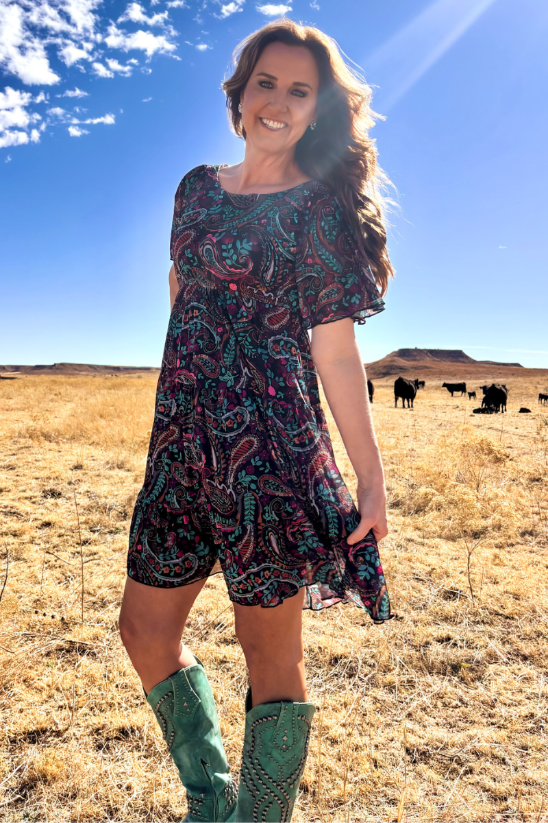 Painted Night Paisley Dress